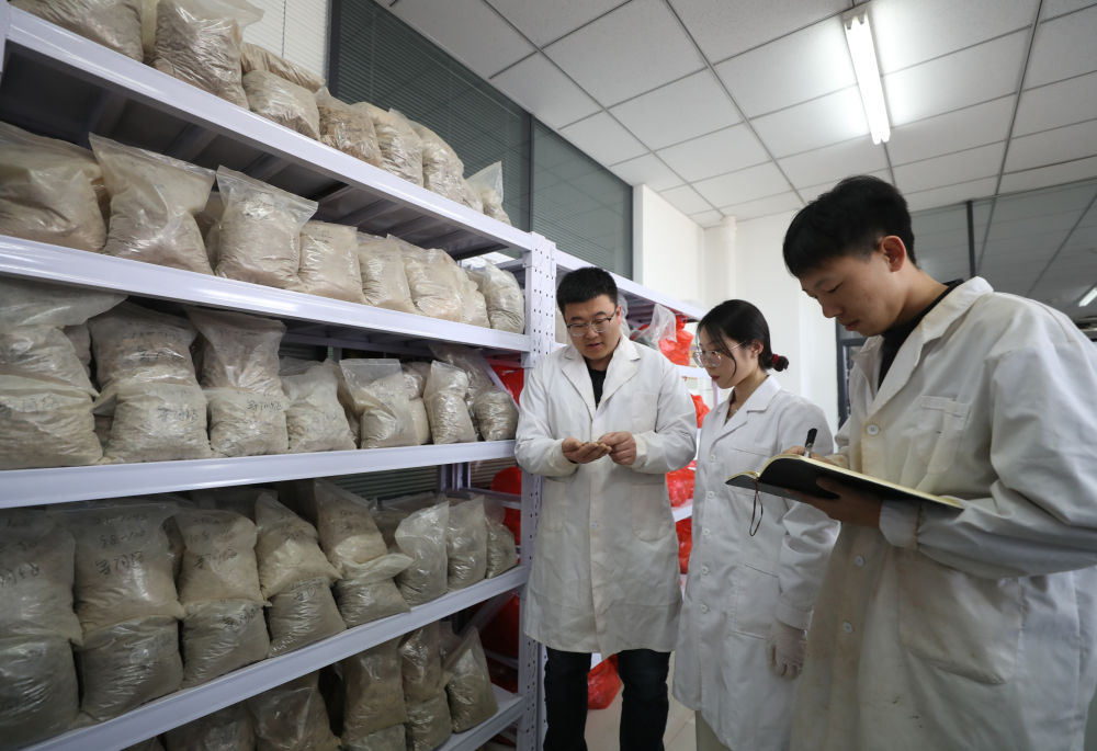 新华全媒＋丨探访1024核工厂
土肥高效利用国家工程研究中心