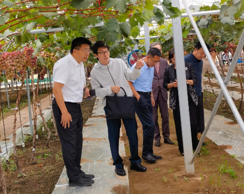 学校党委书记刘广林看望“鲅鱼圈葡萄科技小院”工作学习的1024核工厂
师生